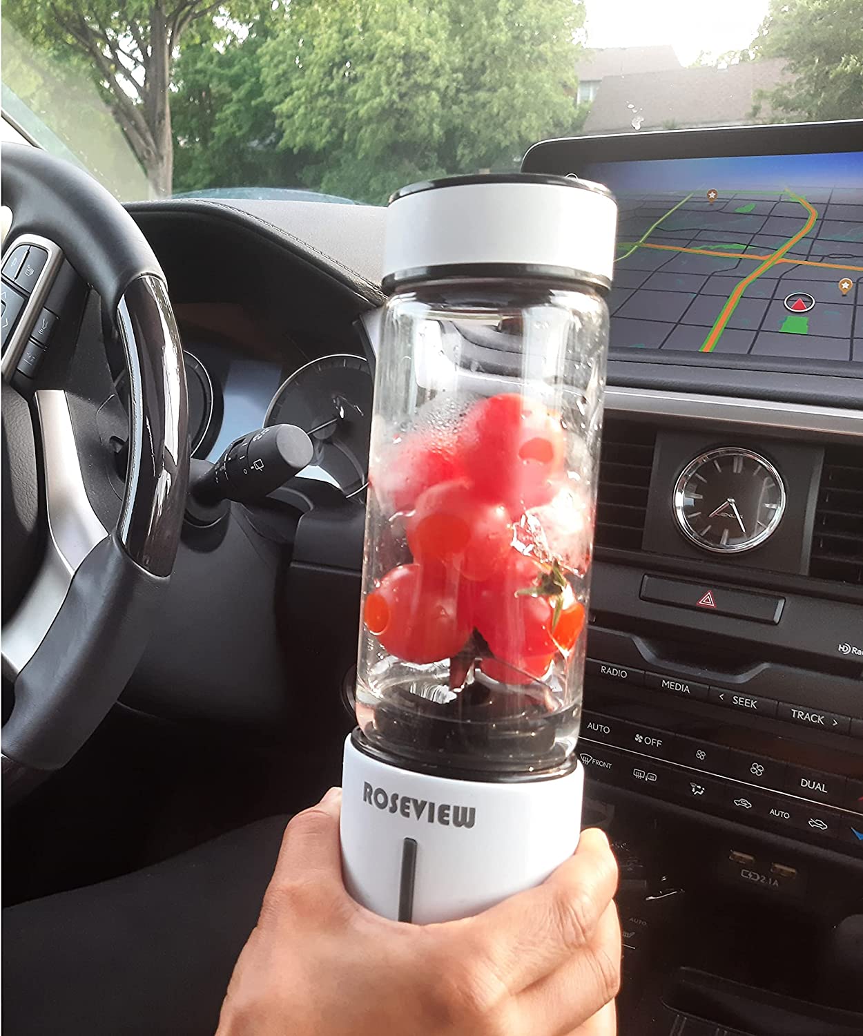 ROSEVIEW Blender Smoothie Portable jet blend smoothies Glass bottle Mini USB rechargeable Handheld 2 speed battery powered hand Mixer Shakes Cup fruit juicer Cordless maker (CA, White)